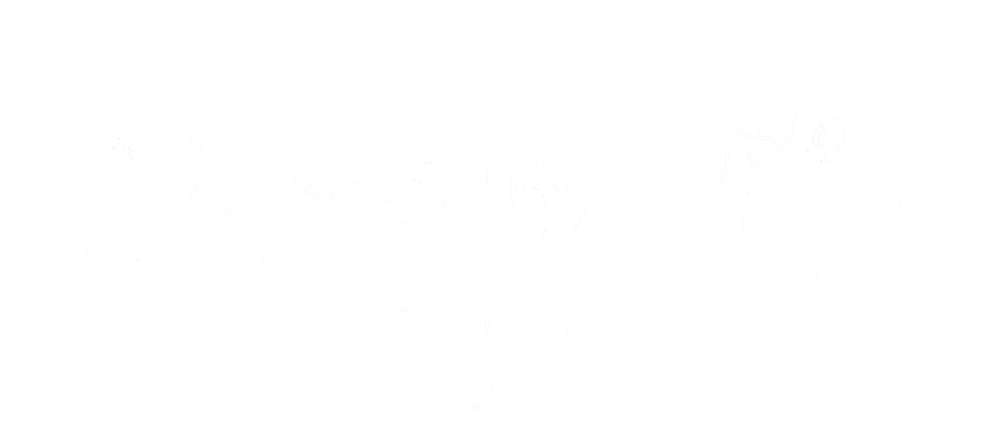 Sanctuaire_raven_pin.png