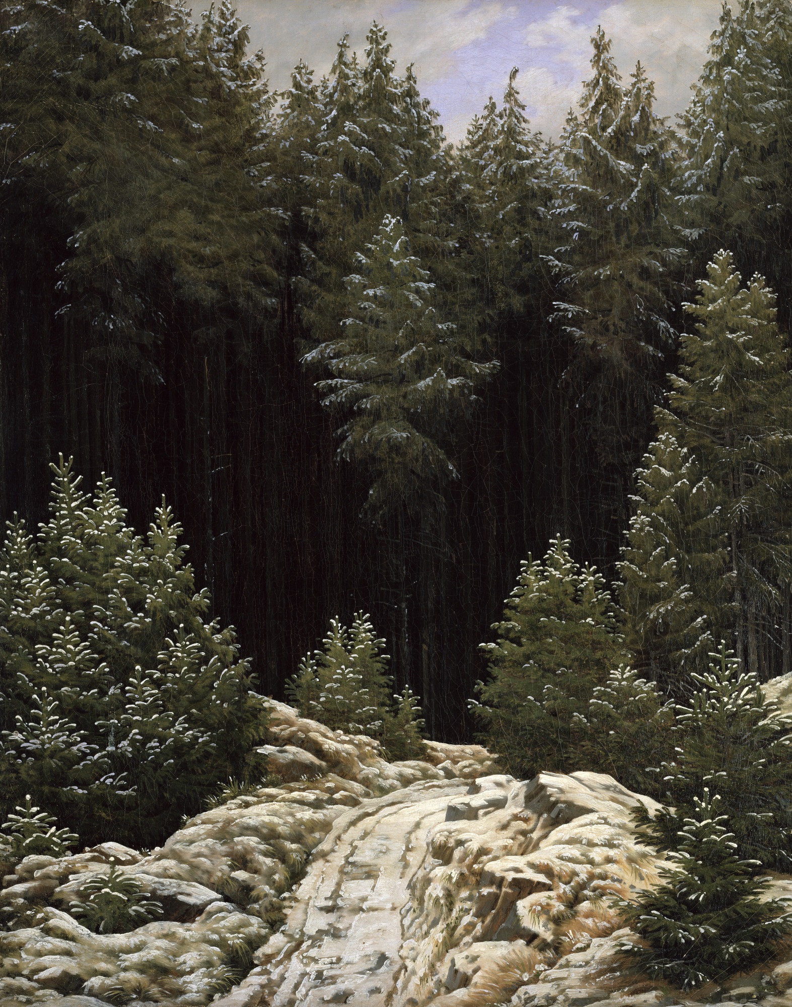Forêt