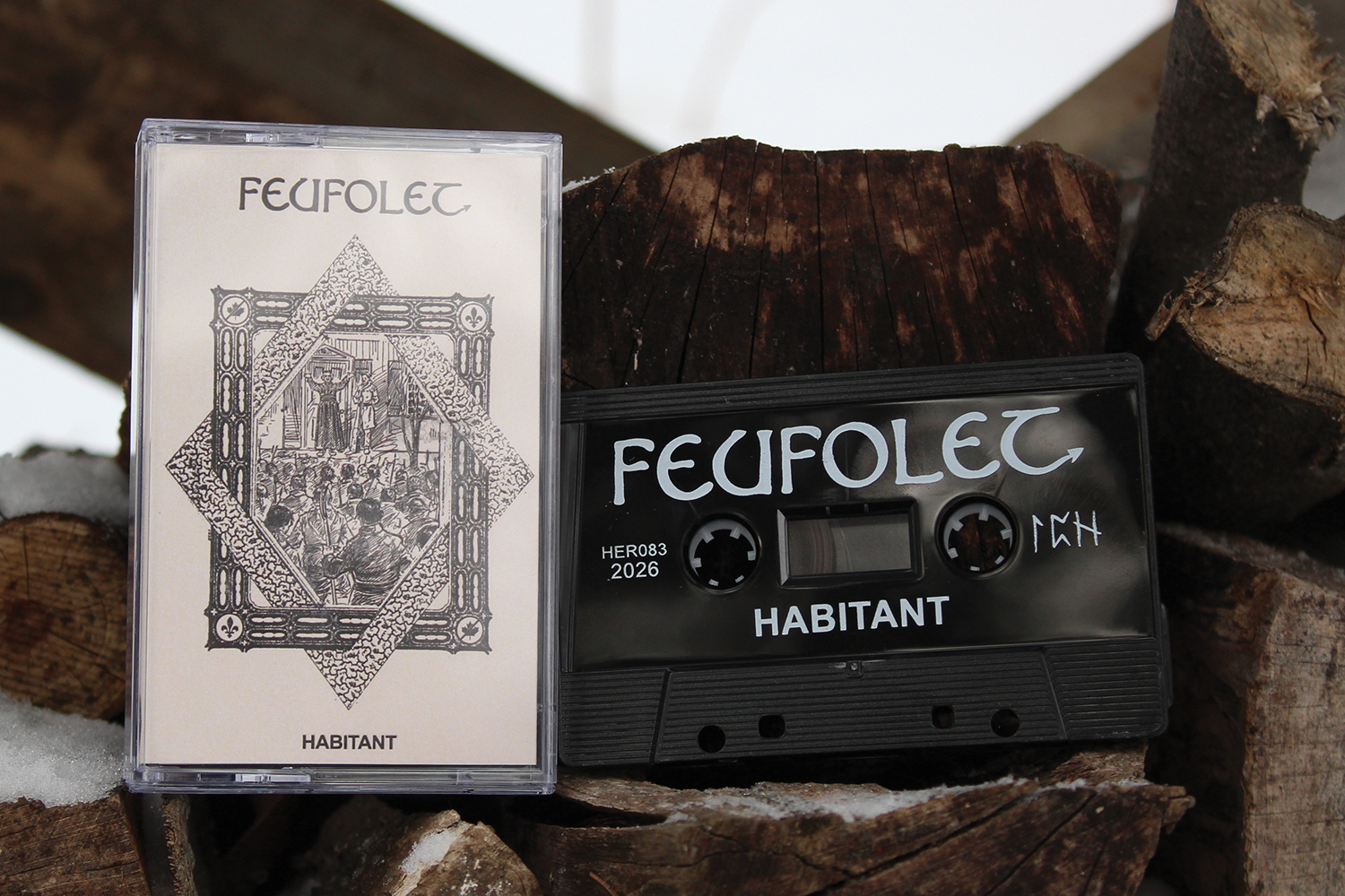 Feufollet
