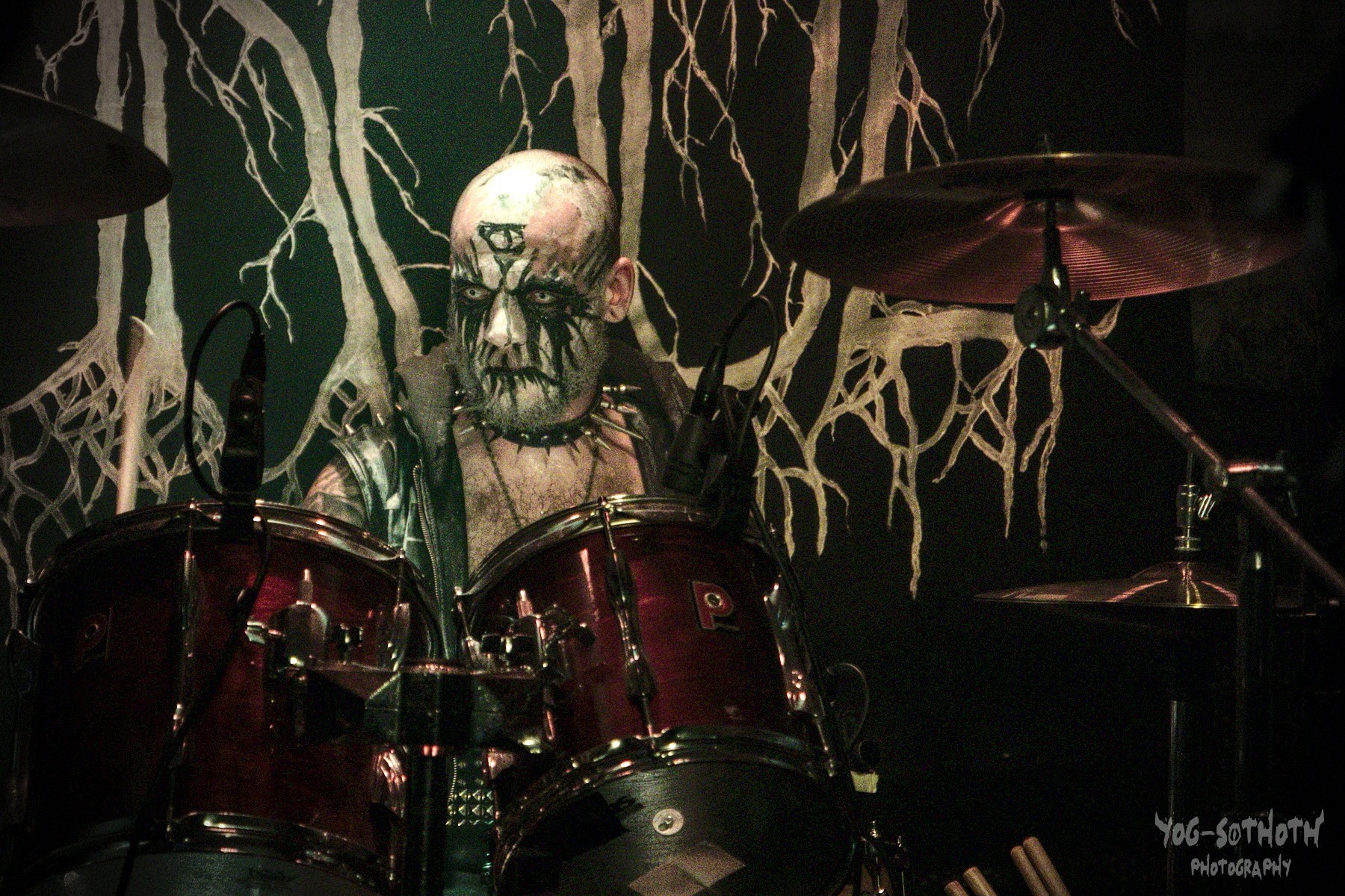 Kaedes live